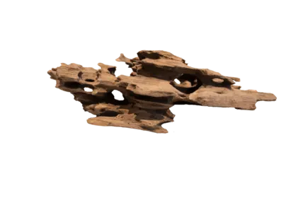 Дерево зі стільниками HONEYCOMB WOOD SMALL (A4080360)