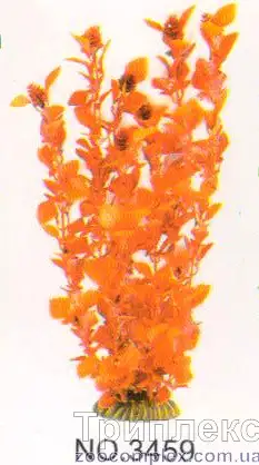 Aquatic Plants (Акватик Плэнтс) Акваріумна рослина, 34 см х 6 шт/уп.