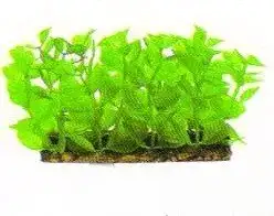 Aquatic Plants (Акватик Плэнтс) Акваріумна рослина, (6х3х6 см) х 6 шт/уп.