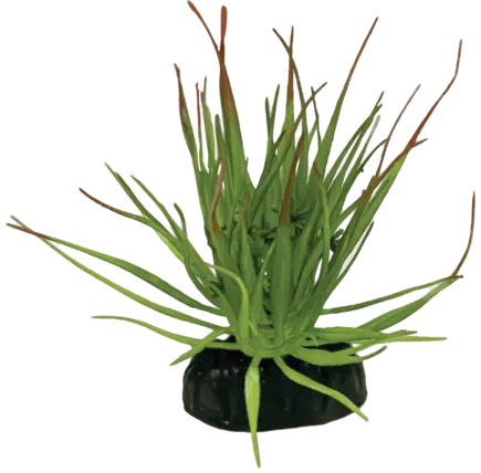 REPTO PLANT TILLANDSIA ION (R5100565) Штучна рослина для тераріума