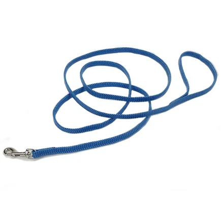 Coastal Sunburst Leash КОСТАЛ САНБАСТ повідець для собак, 1смХ1.8м Блакитна лагуна