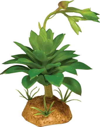 REPTO PLANT SUCCULENT GREEN (R5100630) Штучна рослина для тераріума