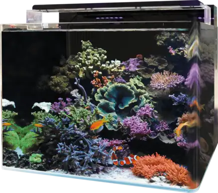BM REEF 120 AQUARIUM (N4055360) морський акваріумний комплект