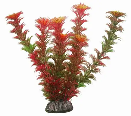 Акваріумна рослина Aquatic Plants, 19 см х 8 шт / уп (1999)