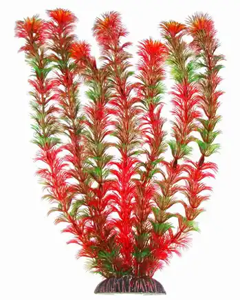 Акваріумна рослина Aquatic Plants, 34 см х 6 шт / уп (3465)