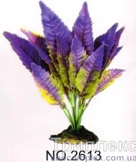Aquatic Plants (Акватик Плэнтс) Акваріумна рослина, 25 см х 8 шт/уп.