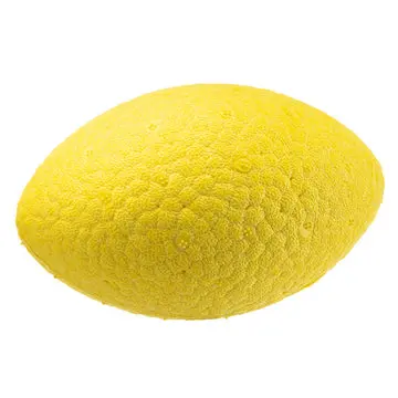 Ferplast CHEWA BOING RUGBY L YELLOW