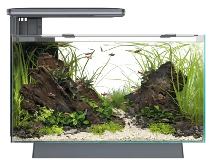 Акваріумний набір SuperFish Quadro 40 Pro Black (A4052205)