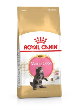 Сухий корм Royal Canin MAINECOON KITTEN для кошенят породи Мейн-кун 2 кг