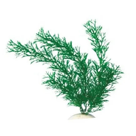 AquatiC Plants (Акватик Плентс) Акваріумна рослина 20cм, AP -023 - 8