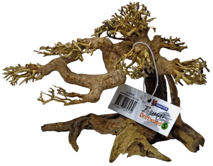 Дерево бонсай BONSAI DRIFTWOOD S (A4080100)