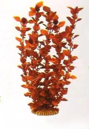 Aquatic Plants (Акватик Плэнтс) Акваріумна рослина, 34 см х 6 шт/уп.