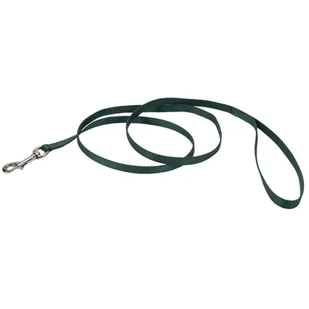 Coastal Nylon Leash КОСТАЛ НАЙЛОН повідець для собак, 1смХ1.2м Хакі