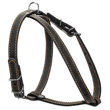 Шлея "CoLLaR" одинарна для малих порід собак (ширина 14мм, А:40-48см, В:43-51см) чорний