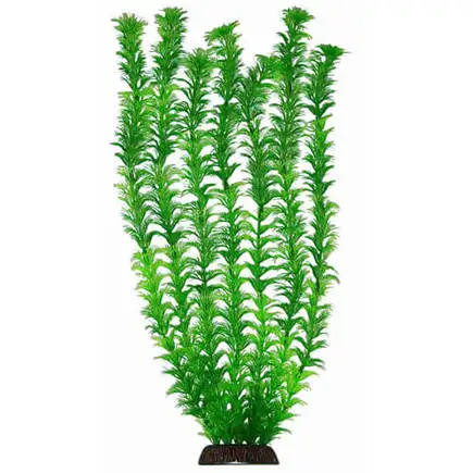 Акваріумна рослина Aquatic Plants, 46 см х 6 шт / уп (4682)