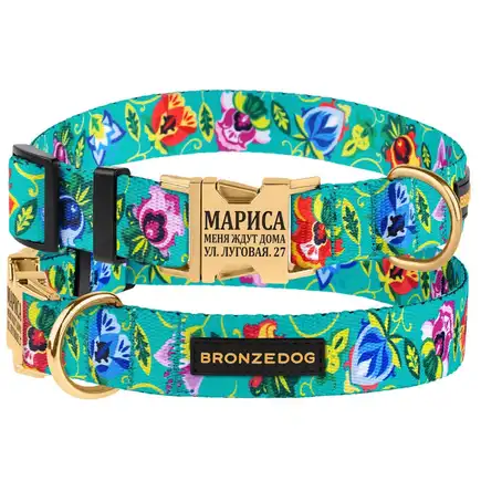 Нашийник для собак Bronzedog Urban Folk нейлоновий з металевою пряжкою золотистого кольору ментоловий S