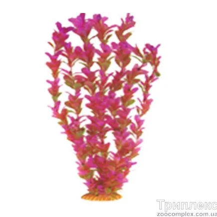 Aquatic Plants (Акватик Плэнтс) Акваріумна рослина, 46 см х 6 шт/уп.