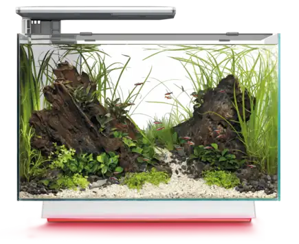 Акваріум скляний - Superfish Quadro 70 Multi Colour WHITE (A4052230)
