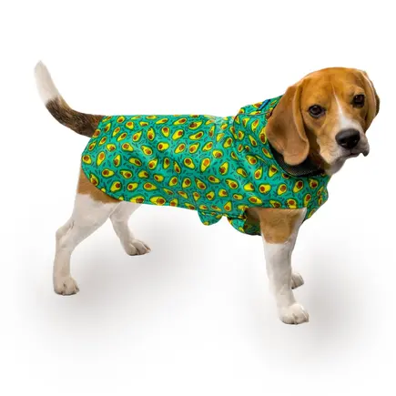 Дощовик для собак Barksi Textile з капюшоном Авокадо 2XS