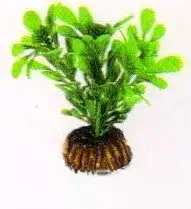 Aquatic Plants (Акватик Плэнтс) Акваріумна рослина, 8 см х 10 шт/уп.