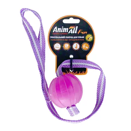 Іграшка AnimAll Fun для собак, тренінг м'яч зі шлейкою, 6 см, фіолетова