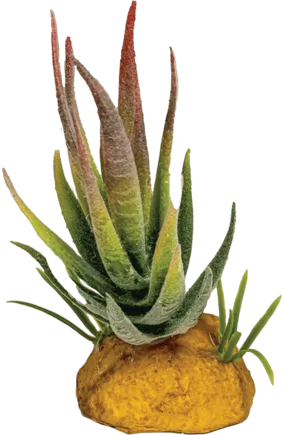 REPTO PLANT ALOE RED TIP (R5100620) Штучна рослина для тераріума