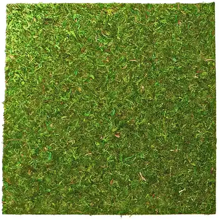 Фон моховий Repti-Zoo Natural Moss Back & Bottom 20x20см 2шт. (NCM2020)