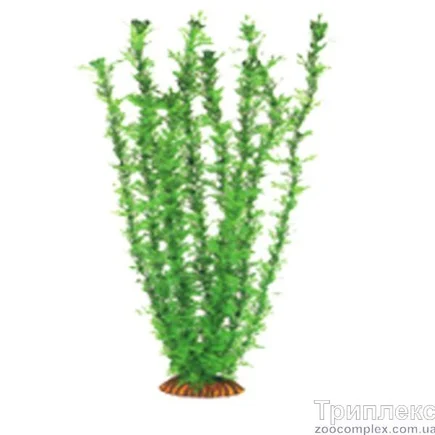 Aquatic Plants (Акватик Плэнтс) Акваріумна рослина, 46 см х 6 шт/уп.