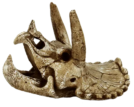 Декорація для акваріума SF SKULL TRICERATOPS M (A4021315)