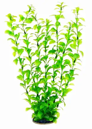Акваріумна рослина Aquatic Plants, 34 см х 6 шт / уп (3468)