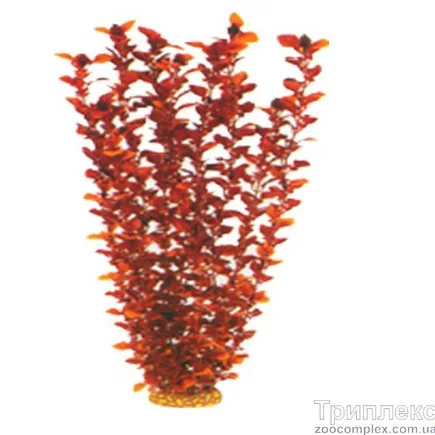 Aquatic Plants (Акватик Плэнтс) Акваріумна рослина, 55 см х 4 шт/уп.
