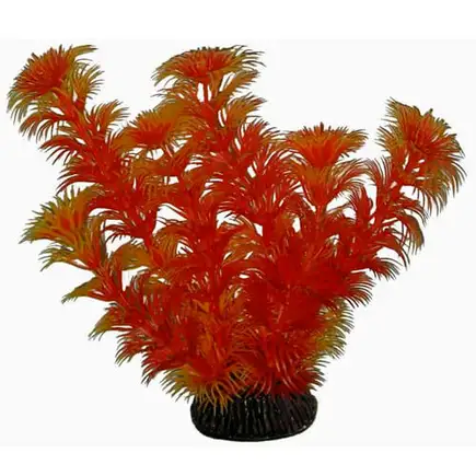 Акваріумна рослина Aquatic Plants, 19 см х 8 шт / уп (1968)