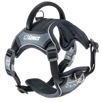 Ferplast GENIUS SMALL BLACK HARNESS нейлонова шлея для тварин чорна