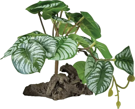 REPTO PLANT ON DECO BEGONIA (R5100450) Штучна рослина для тераріума