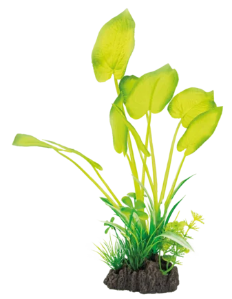 Штучна рослина для акваріума SF ART PLANT 25CM ECHINODORUS (A4070810)