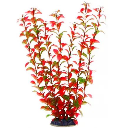 Акваріумна рослина Aquatic Plants, 34 см х 6 шт / уп (3469)