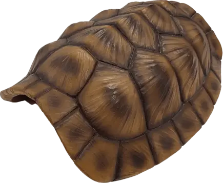 Декорація для акваріума REPTO DECO TORTOISE XL (R5100375)