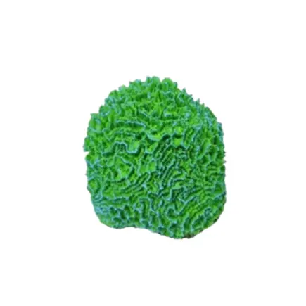 Штучний корал Blue Treasure HZY 209, 10×3×10 см