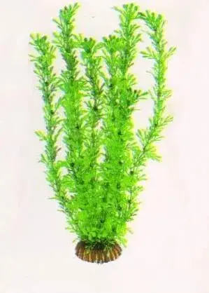 Aquatic Plants (Акватик Плэнтс) Акваріумна рослина, 34 см х 6 шт/уп.
