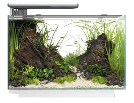 Акваріумний набір SuperFish Quadro 70 Pro White (A4052220)