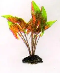 Aquatic Plants (Акватик Плэнтс) Акваріумна рослина, 20 см х 8 шт/уп. арт.2019
