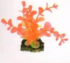 Aquatic Plants (Акватик Плэнтс) Акваріумна рослина, 8 см х 10 шт/уп.