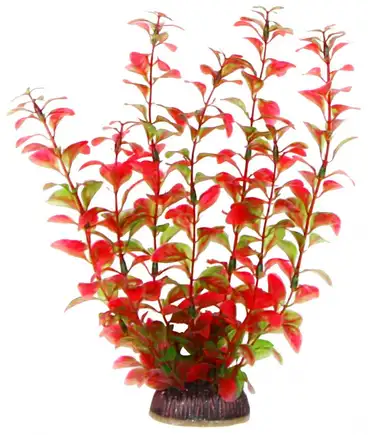 Акваріумна рослина Aquatic Plants, 25 см х 8 шт / уп (2584)