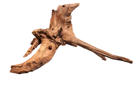 Мангрове дерево MANGROVE AGED WOOD X LARGE (A4080350)