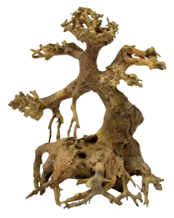 Дерево бонсай BONSAI DRIFTWOOD XS (A4080095)