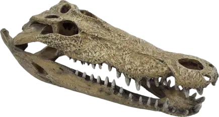 Декорація для акваріума REPTO DECO CROCODILE XXL (R5100365)