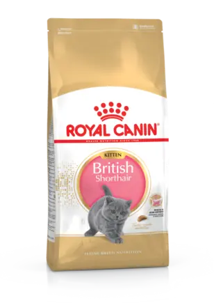 Сухий корм Royal Canin KITTEN BRITISH SHORTHAIR для породи кошенят Британська короткошерста кішка 0,4 кг + KITTEN CIG 85g