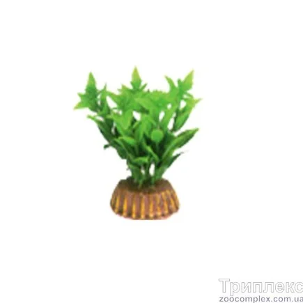 Aquatic Plants (Акватик Плэнтс) Акваріумна рослина, 8 см х 10 шт/уп.