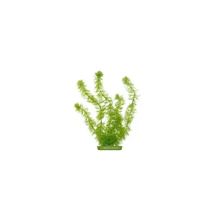 HORNWORT 20см пластикова рослина