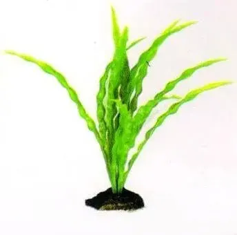 Aquatic Plants (Акватик Плэнтс) Акваріумна рослина, 29 см х 6 шт/уп.